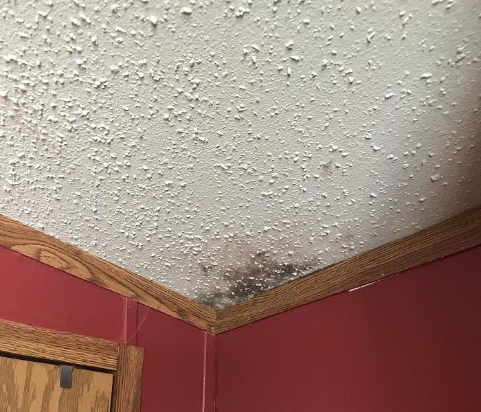 ceiling with mold
